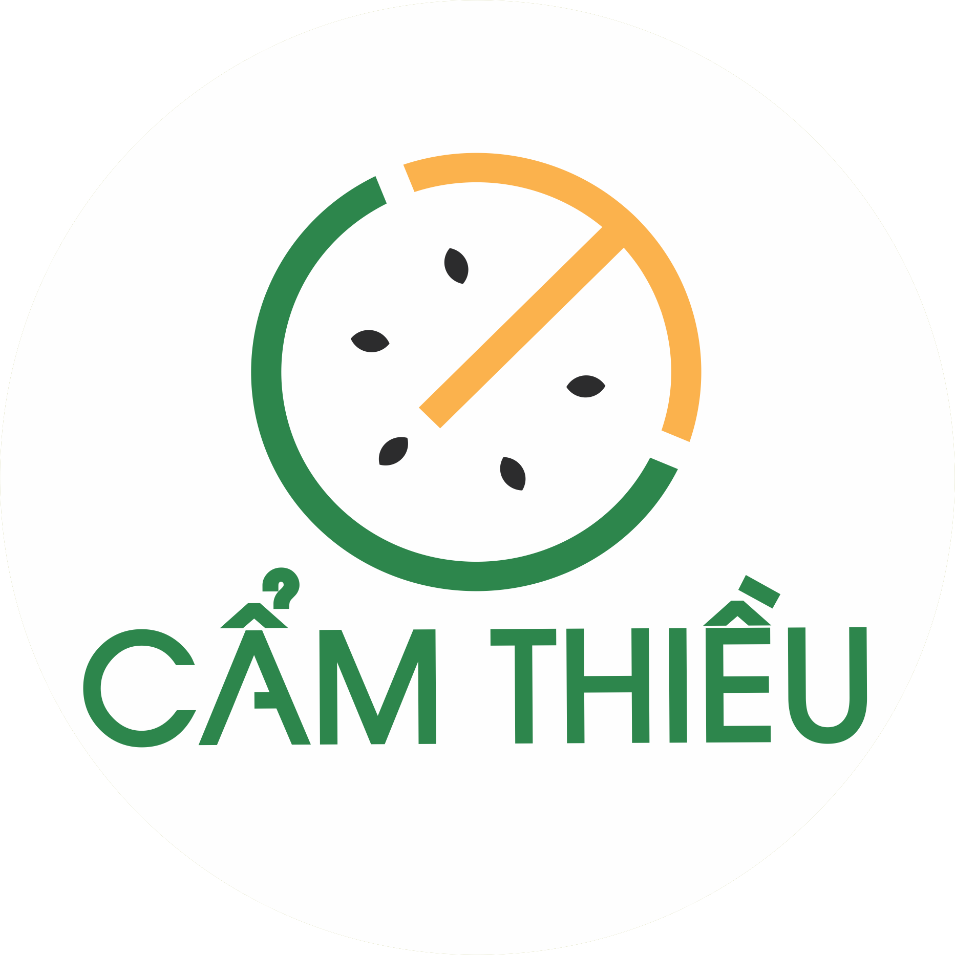 CAM THIEU COMPANY LTD